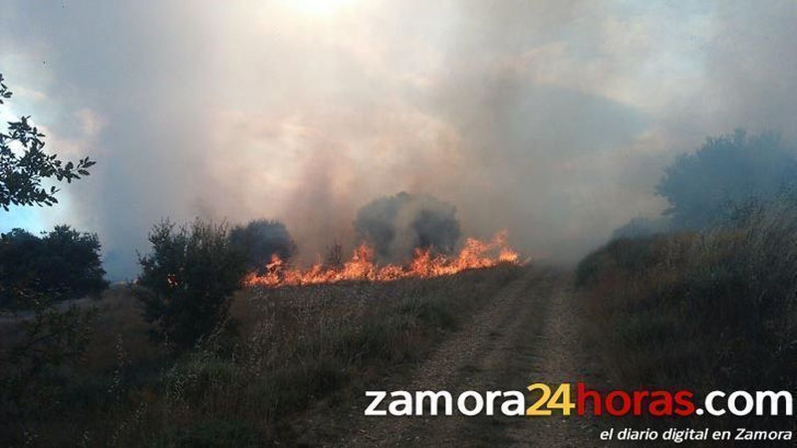 El Colegio de Ingenieros denuncia el retraso de la contratación de cuadrillas de incendios forestales