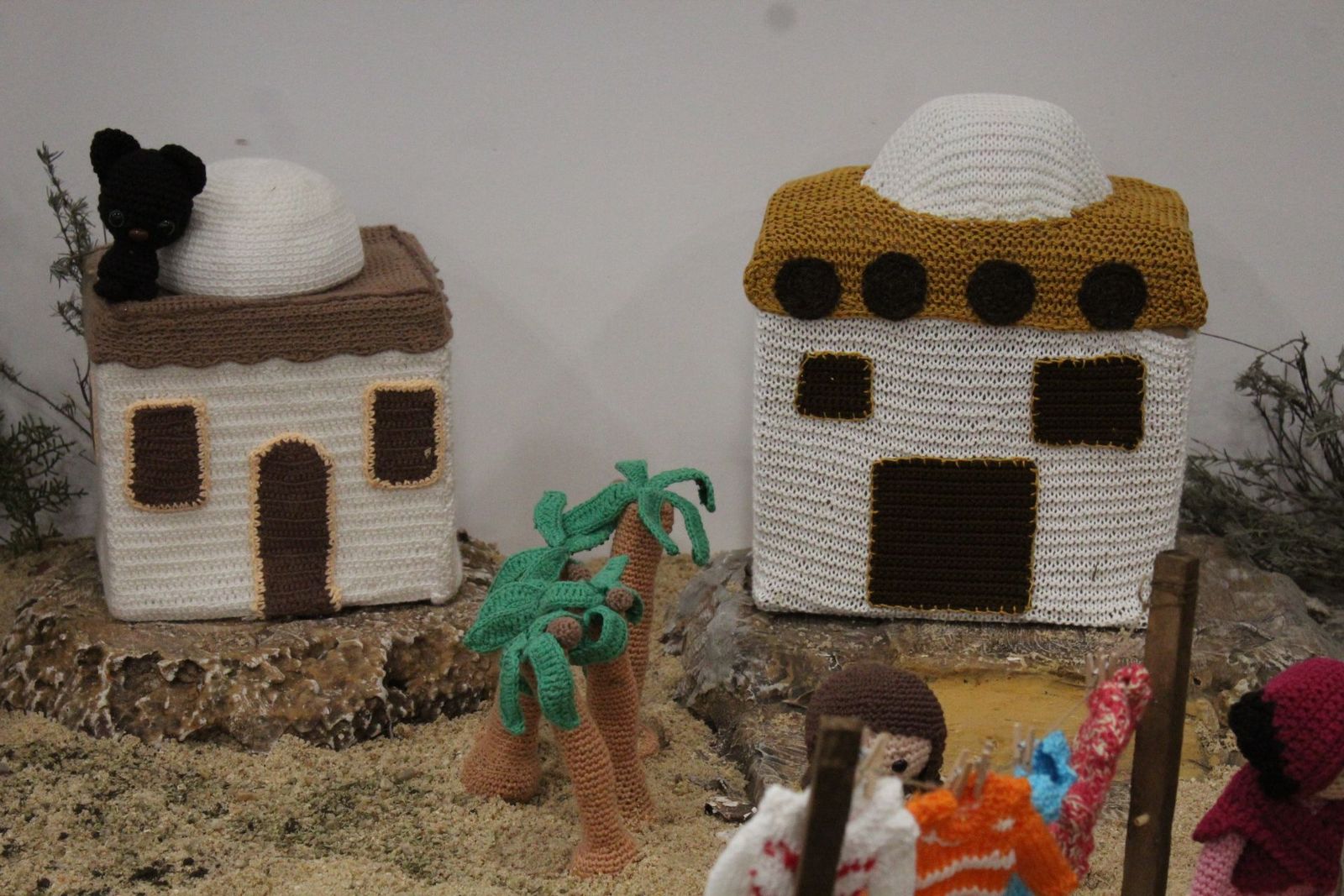 20231205185728-img-6595