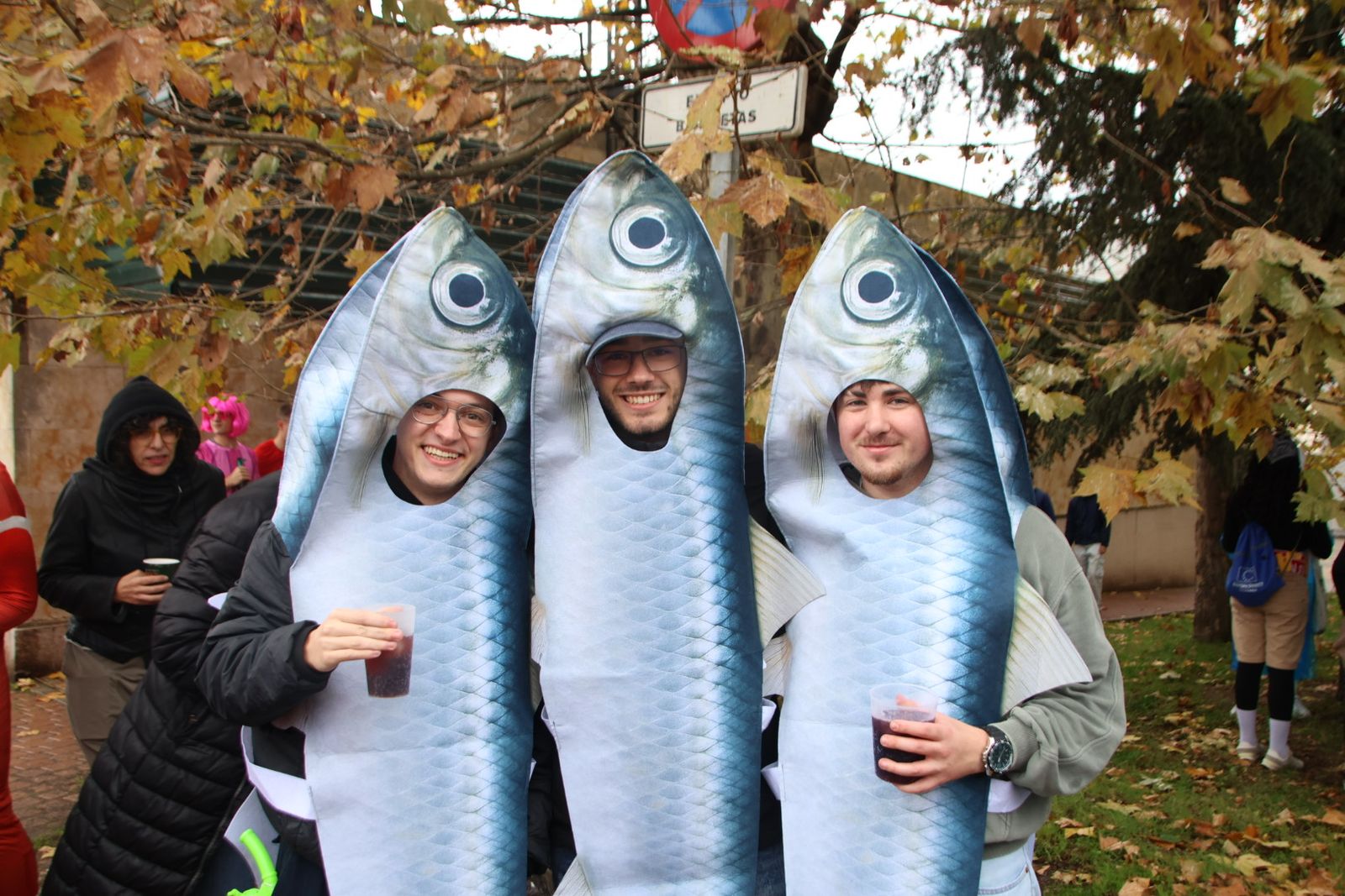 Fiestas de San Alberto