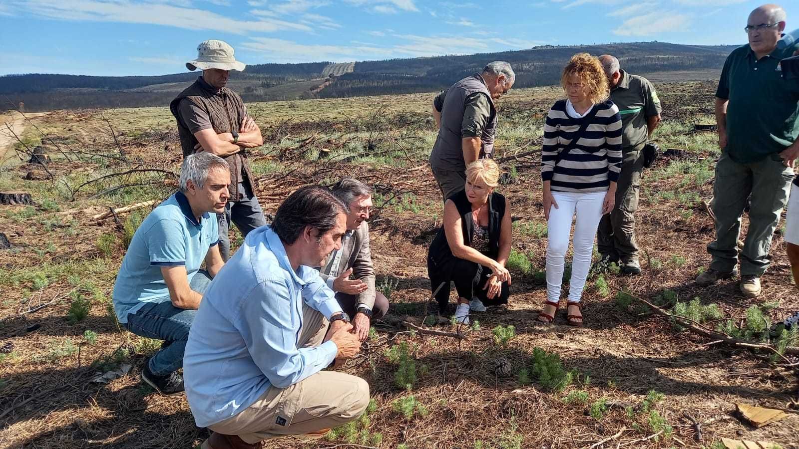 Visita de Suárez Quiñones y la delegada territorial a la base de helicópteros y al Monte de Utilidad Pública de Villardeciervos  (1)