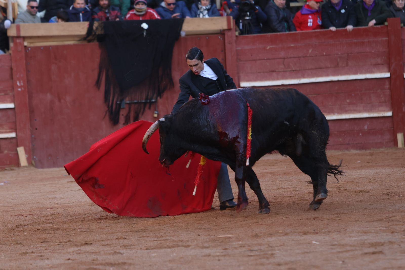 Festival taurino del Sábado en el Carnaval del Toro 2026 de Ciudad Rodrigo