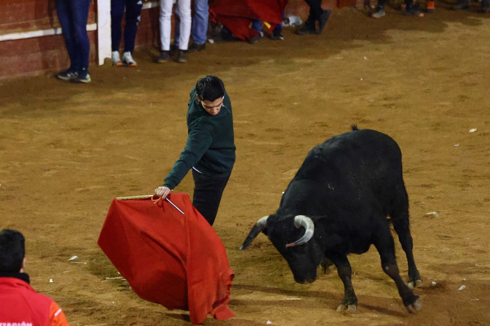 Capea nocturna de lunes en el Carnaval del Toro 2026