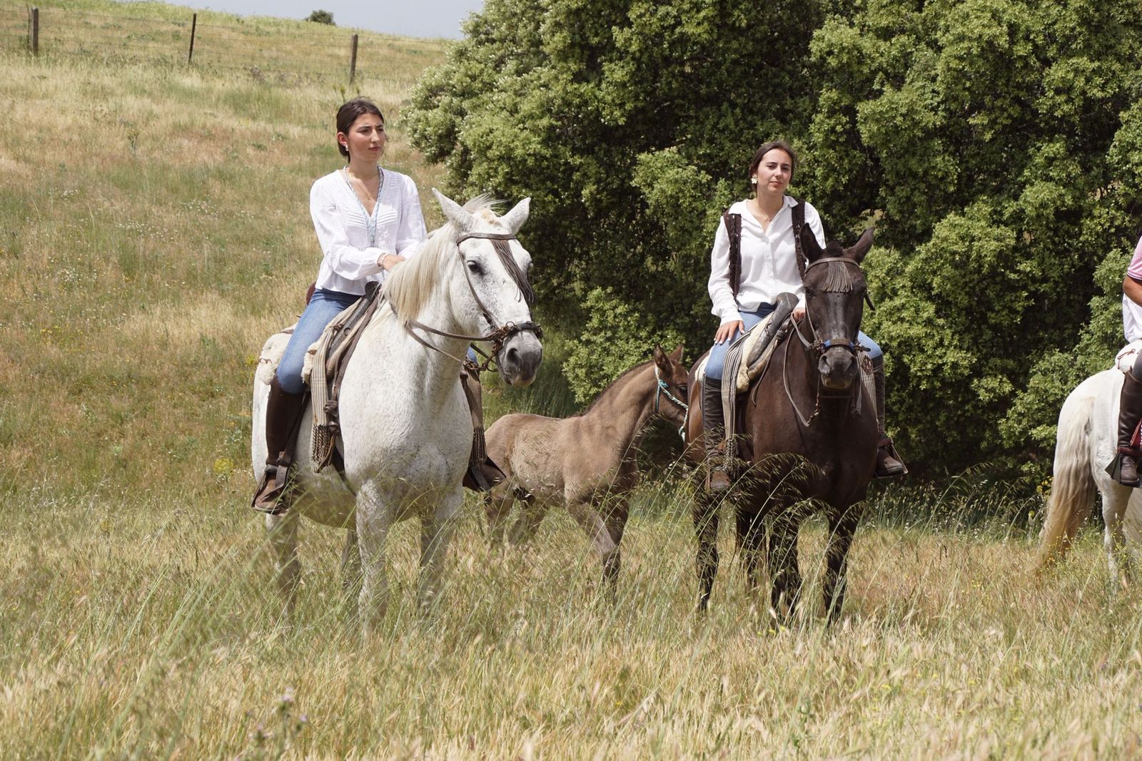 Valdejimena sale a los campos en su romería para honrar a su patrona