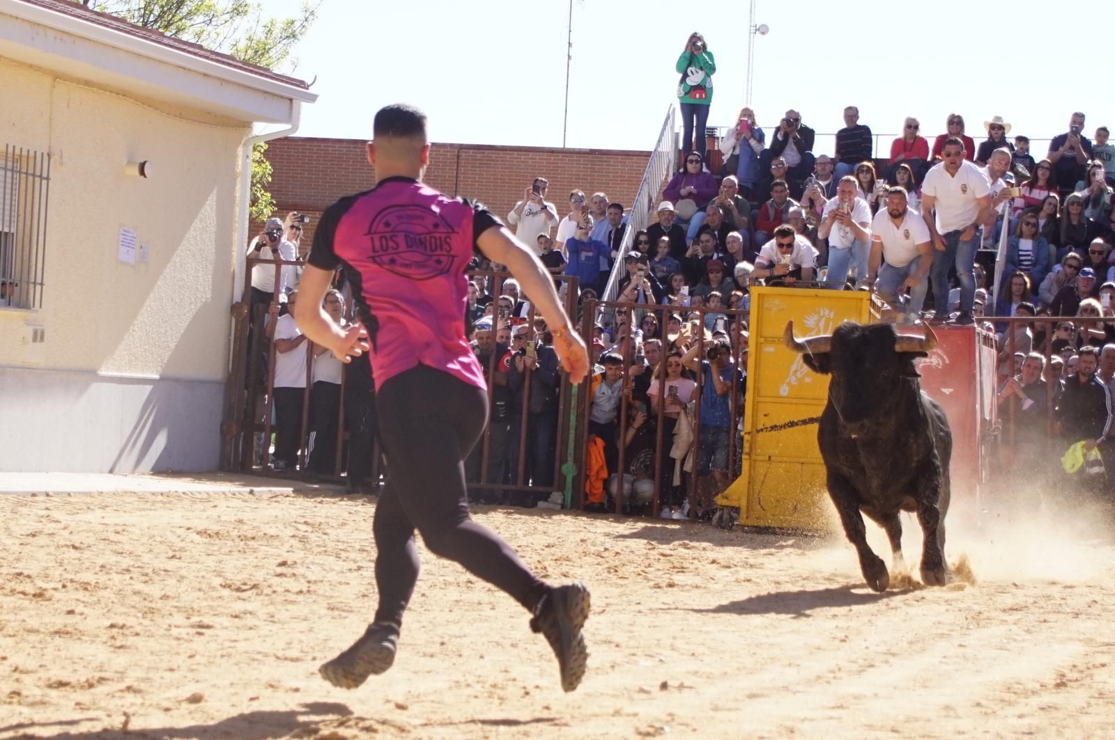 whatsapp-image-2025-04-26-at-19-02-12-1