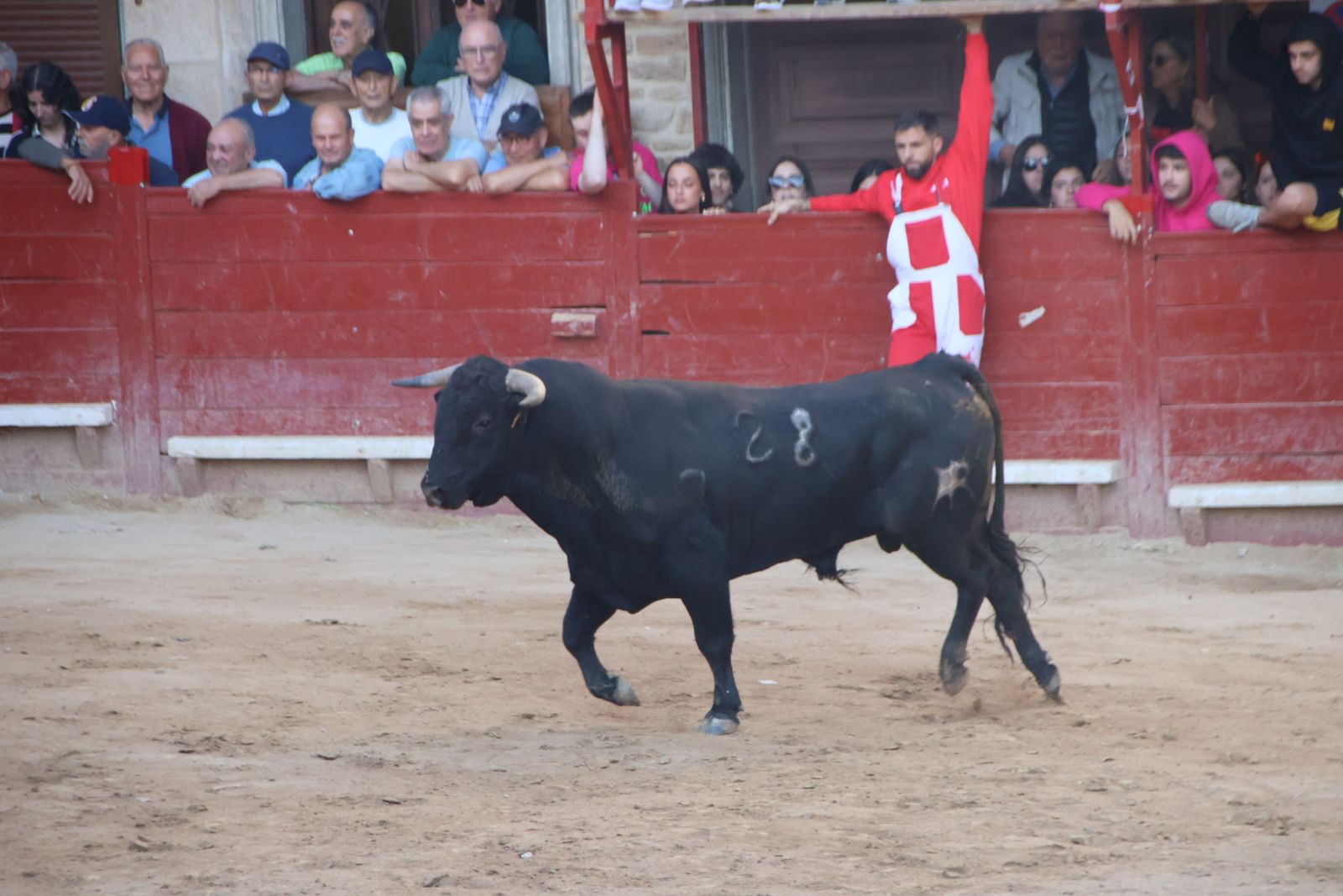 Encierro en Aldeadávila