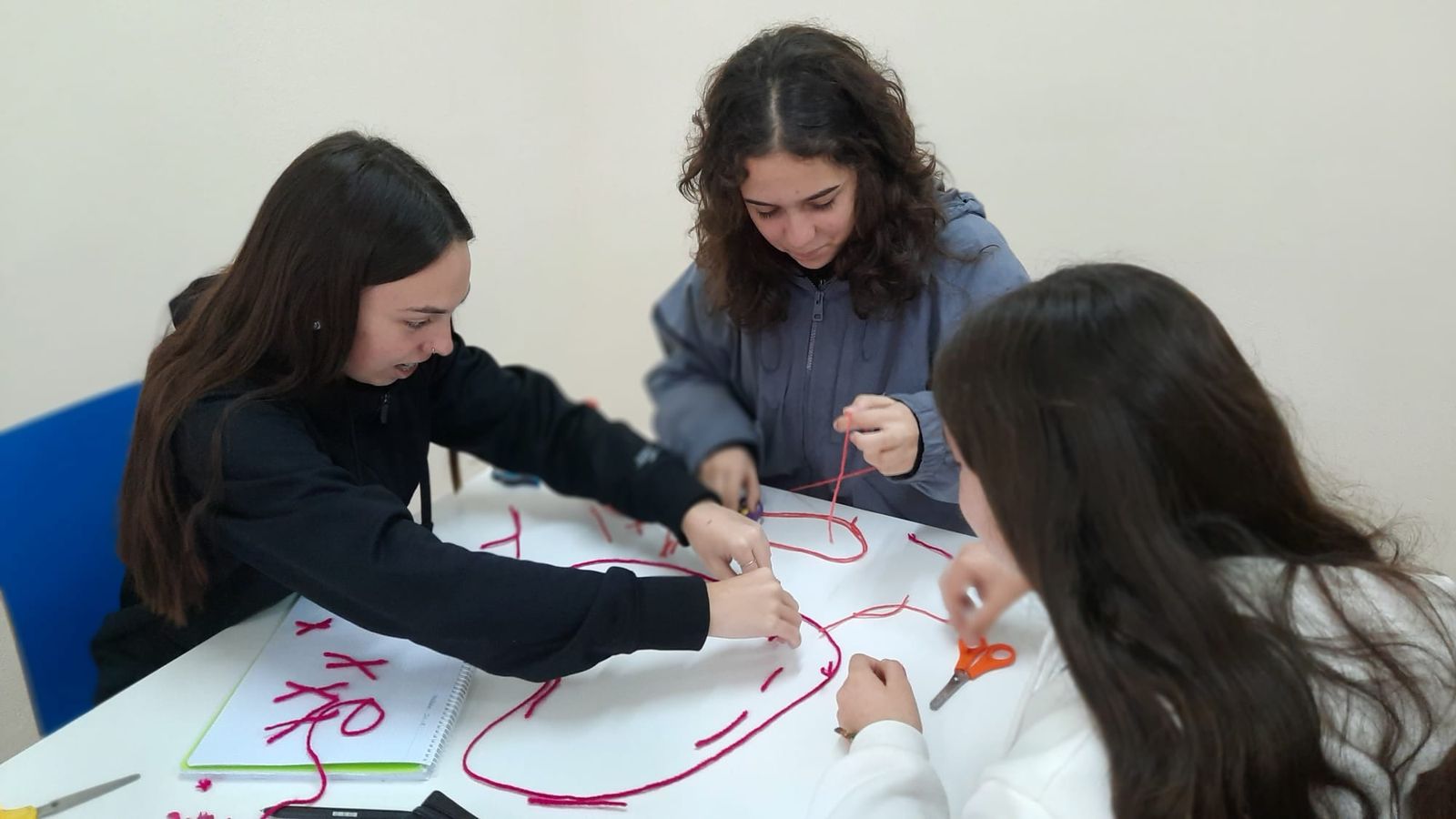 20231024-4eso-mitosis-7