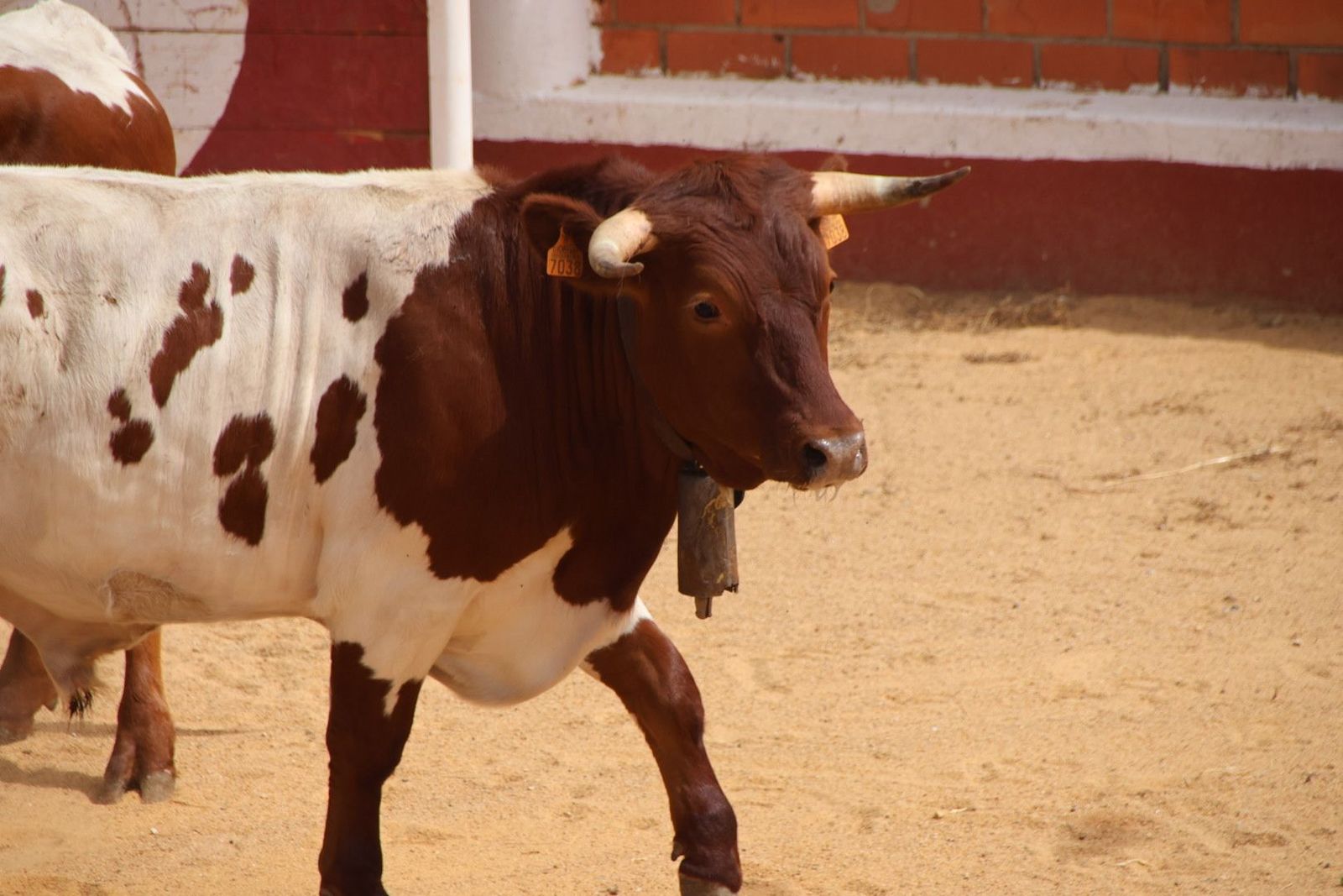 20230809113527-img-9545