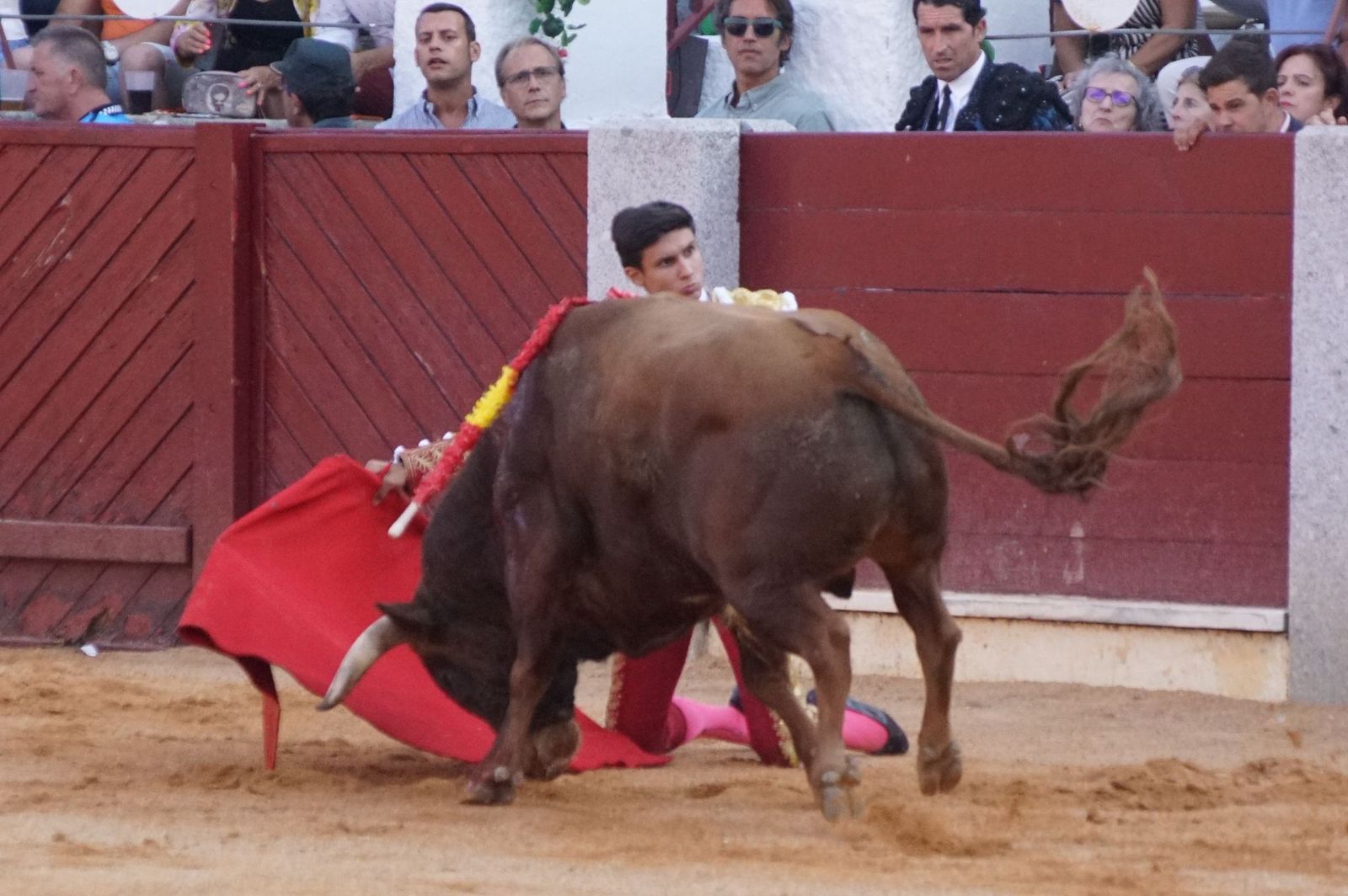 : Emilio de Justo y Diosleguarde cierran en hombros una feria de Guijuelo marcada por las despedidas de El Capea y Javier Castaño