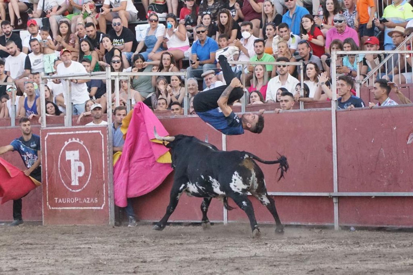 Concurso de recortes de Santa Marta de Tormes