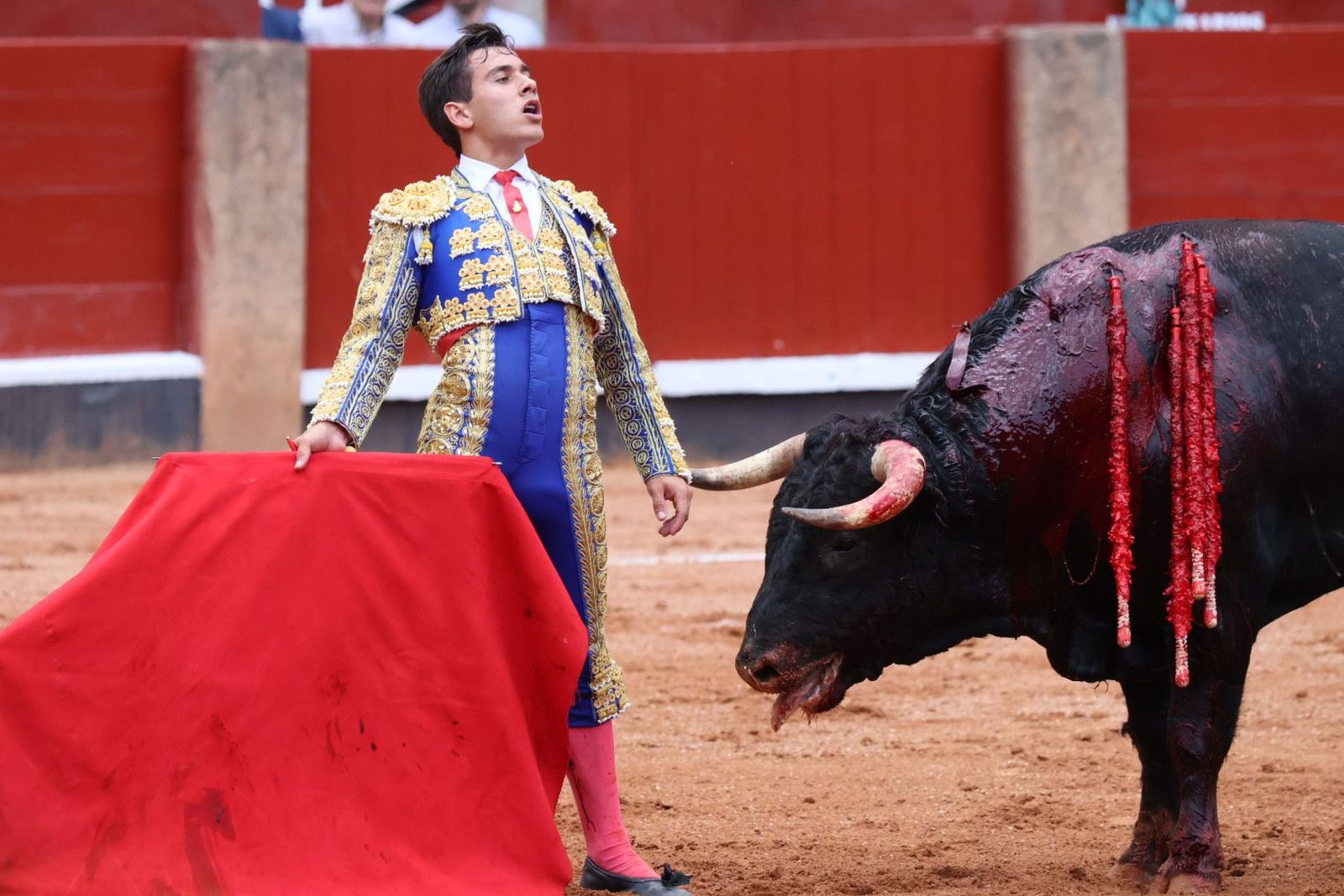 20230915174822-img-4003