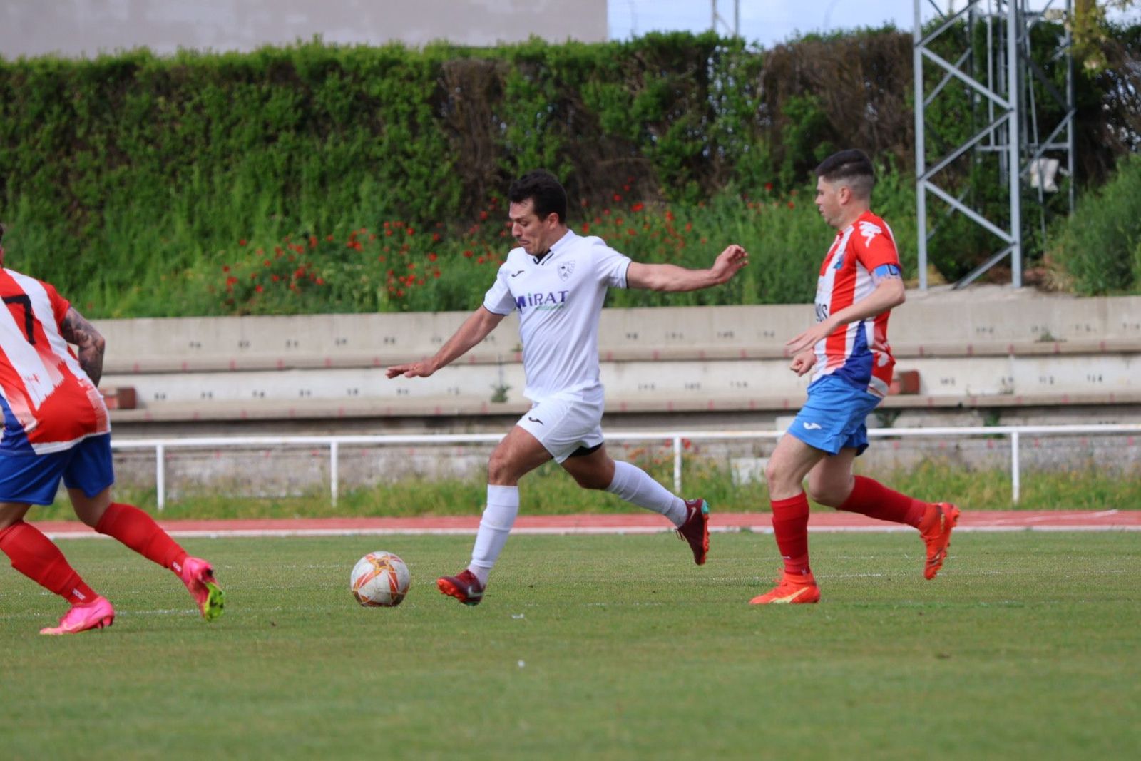 20240427174221-img-1894