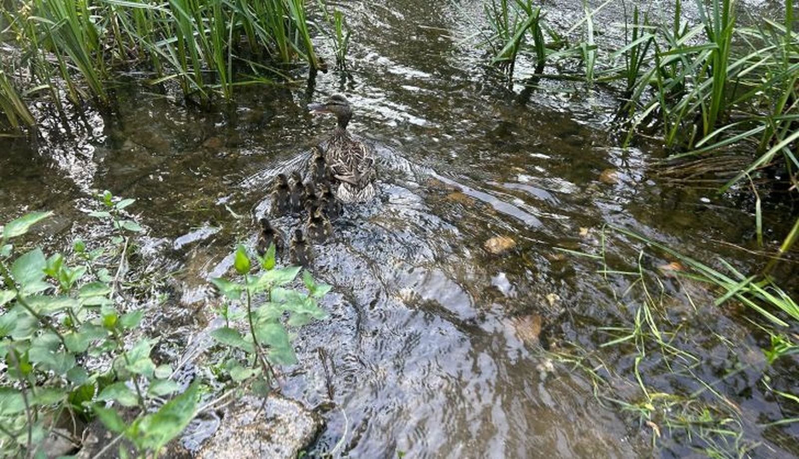 WhatsApp Image 2025 05 19 at 14.40.32 (2)