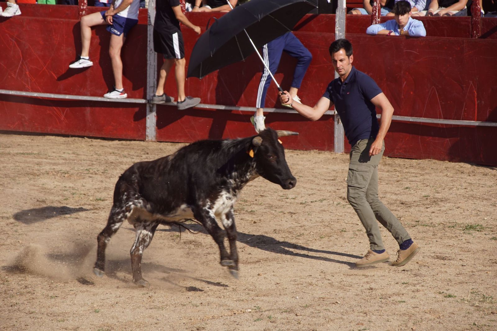 capea-fiestas-de-carrascal-de-barregas-5