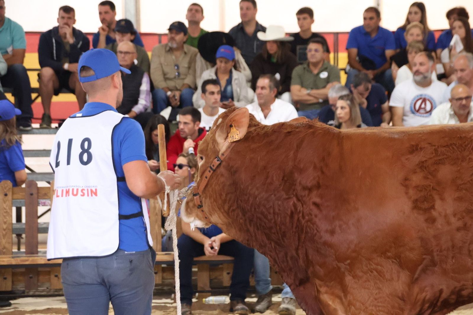 20230902104817-img-6980