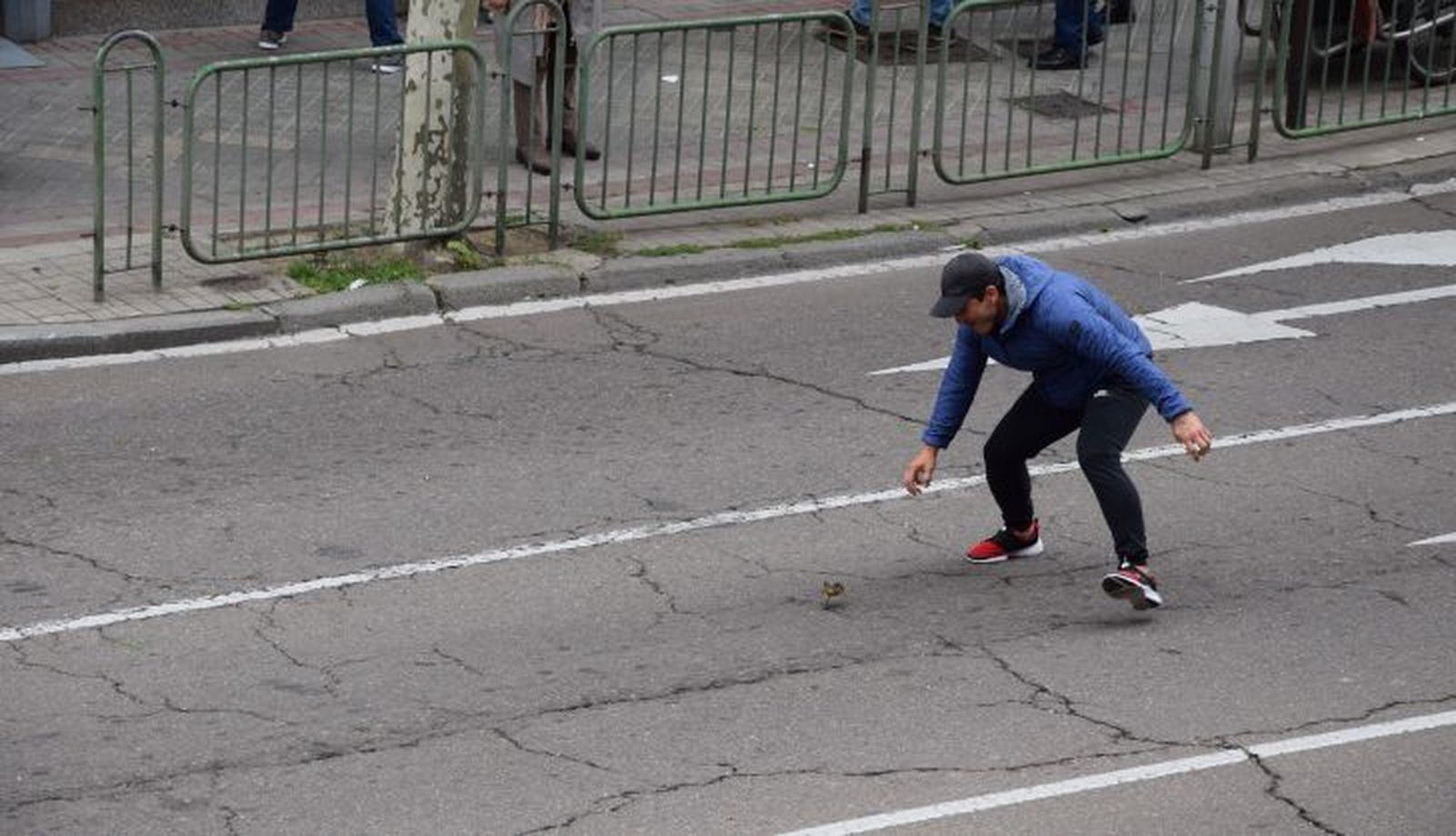 Rescate de una familia de patos en la avenida de Mirat (6)