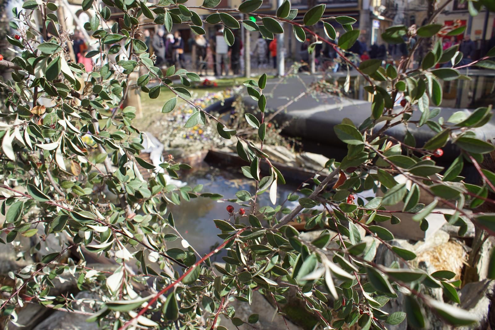 Belén Vivente en Alba de Tormes