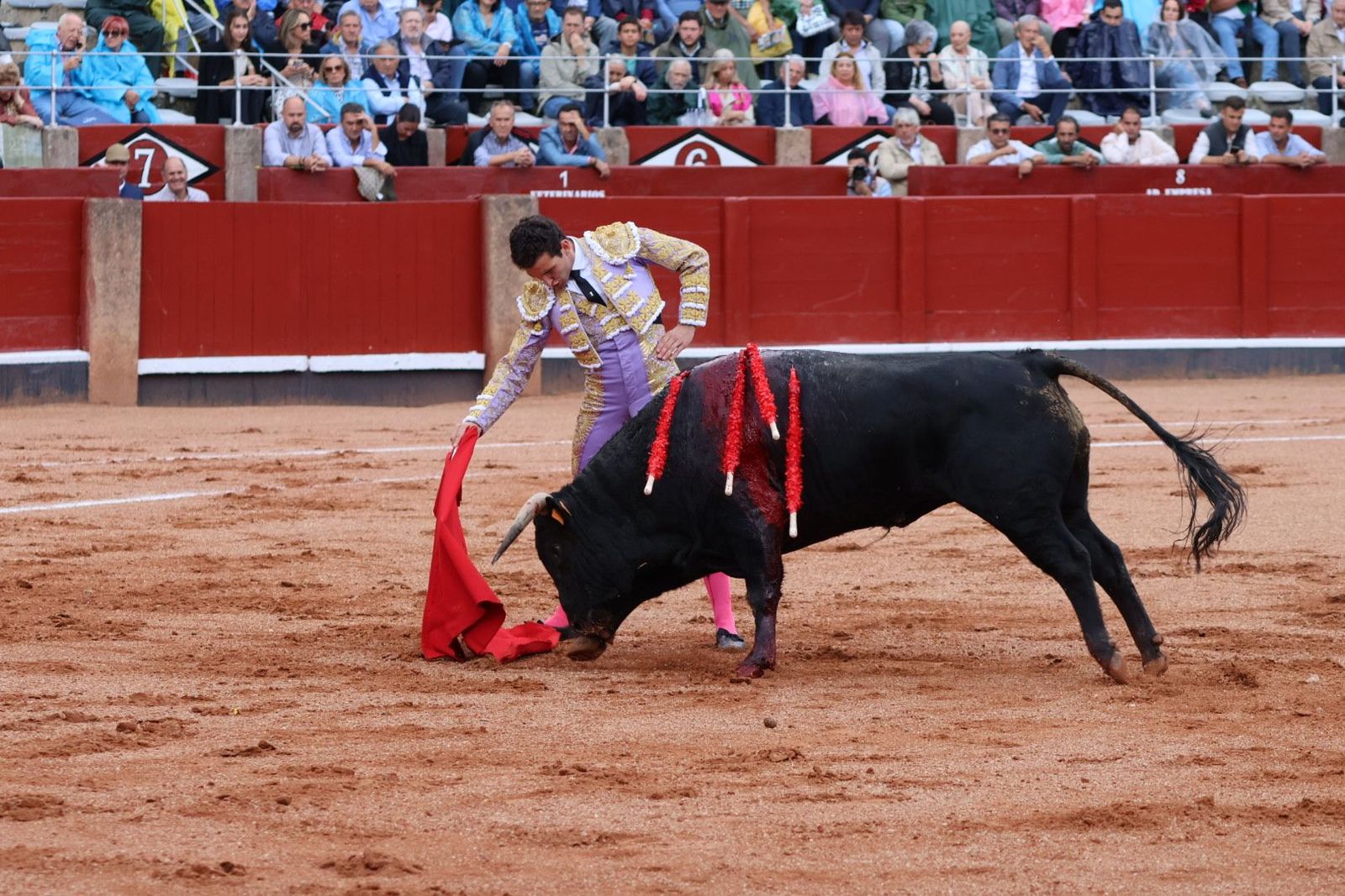 20230915171909-img-3883