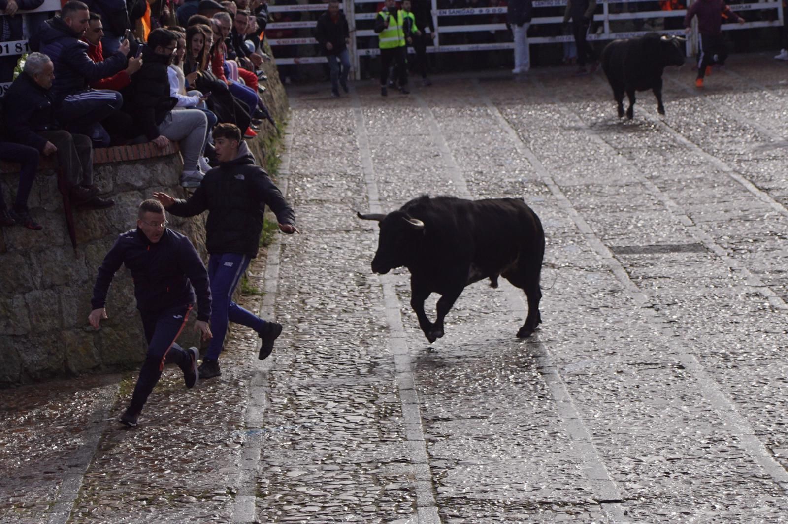 ambiente-encierro-urbano-lunes-de-carnaval-en-ciudad-rodrigo-12-de-febrero-de-2024-fotos-s24h-31