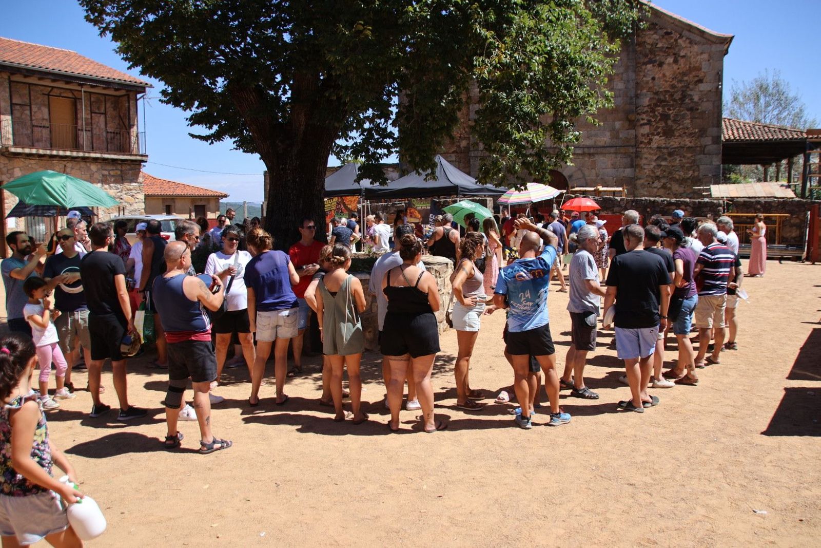 20240822135624-img-5238