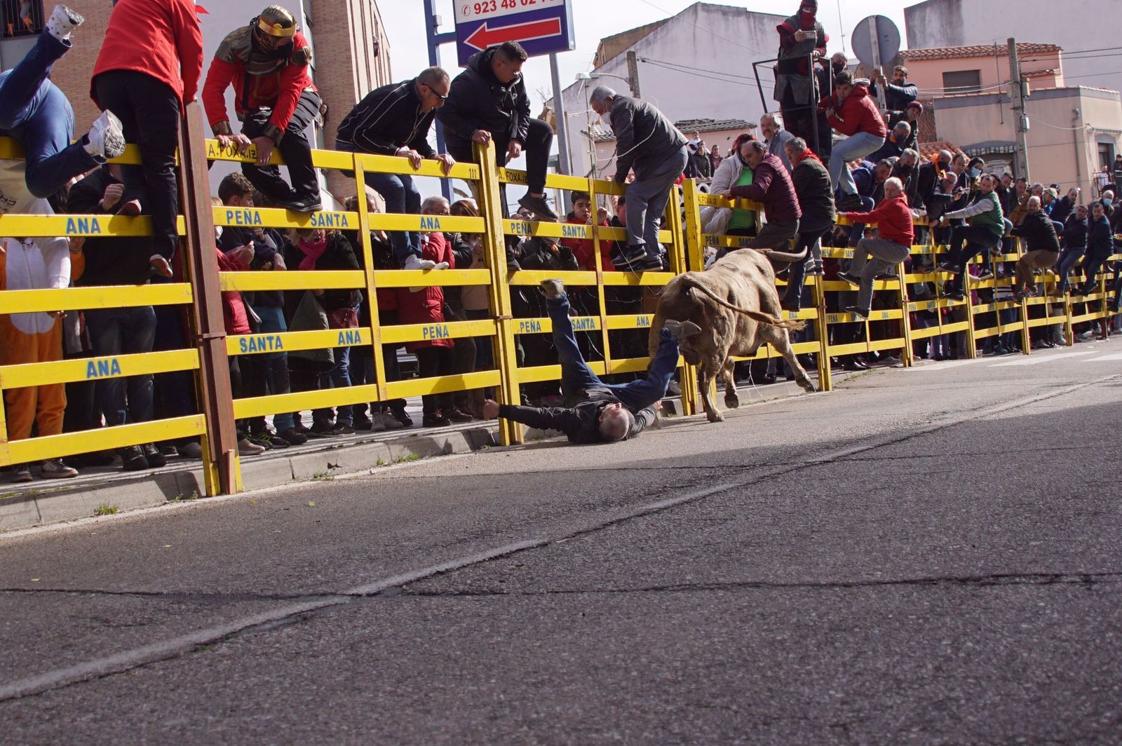 Encierro mixto Ciudad Rodrigo 3