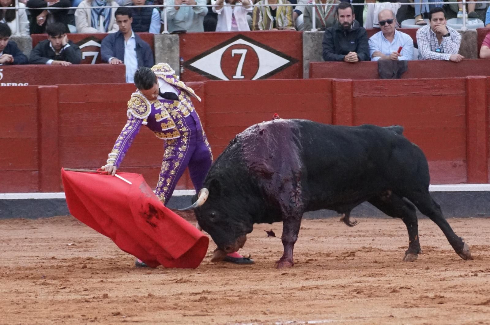 corrida-concurso-momentos-mas-destacados-del-ultimo-festejo-de-abono-de-la-feria-taurina-virgen-de-la-vega-2024-fotos-carlos-h-g-y-juanes-18