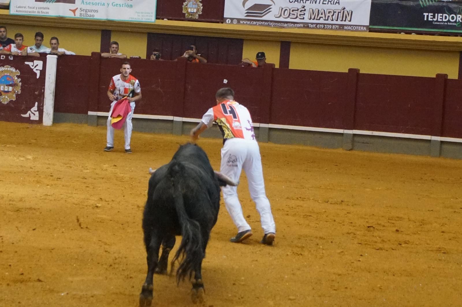 Alba de Tormes celebra un nuevo concurso de cortes