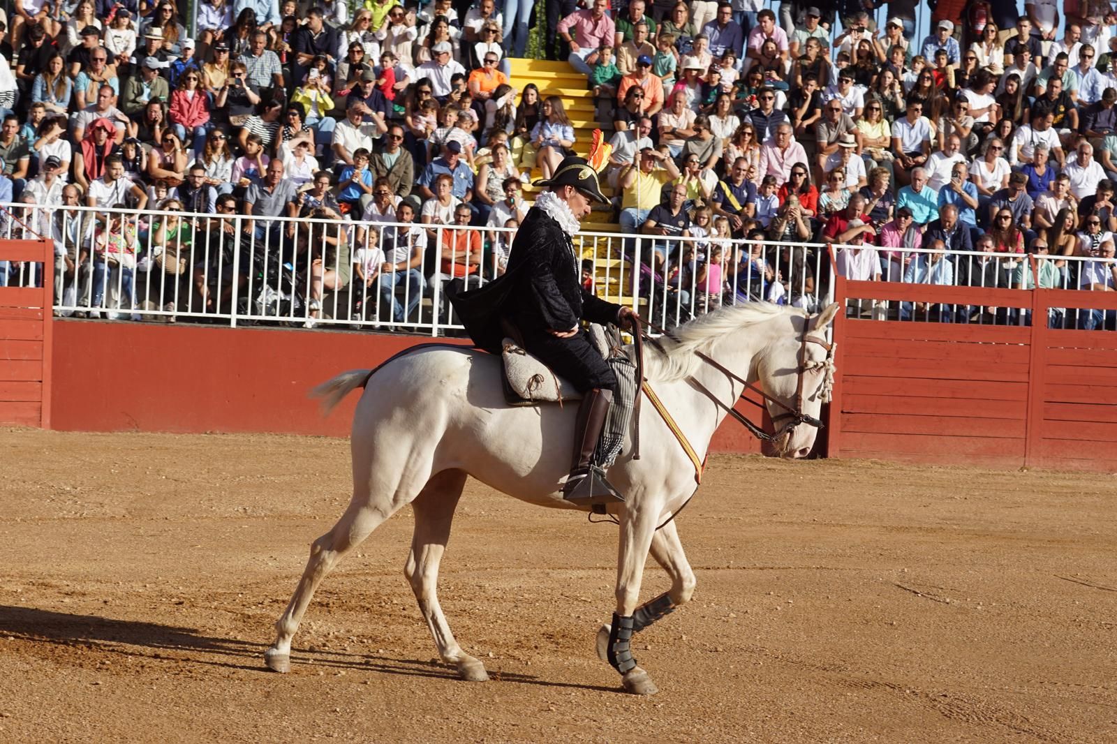 whatsapp-image-2024-09-06-at-20-53-17-2