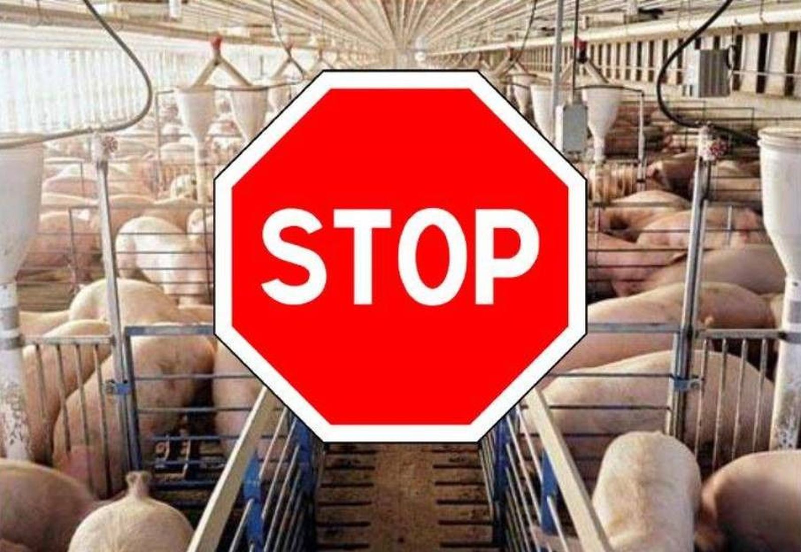 Articulo fichero 585101 20180314