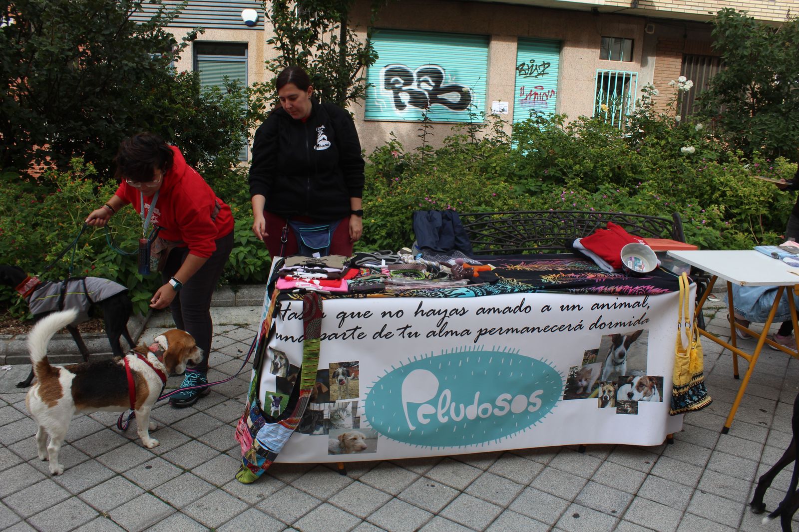 img-0700