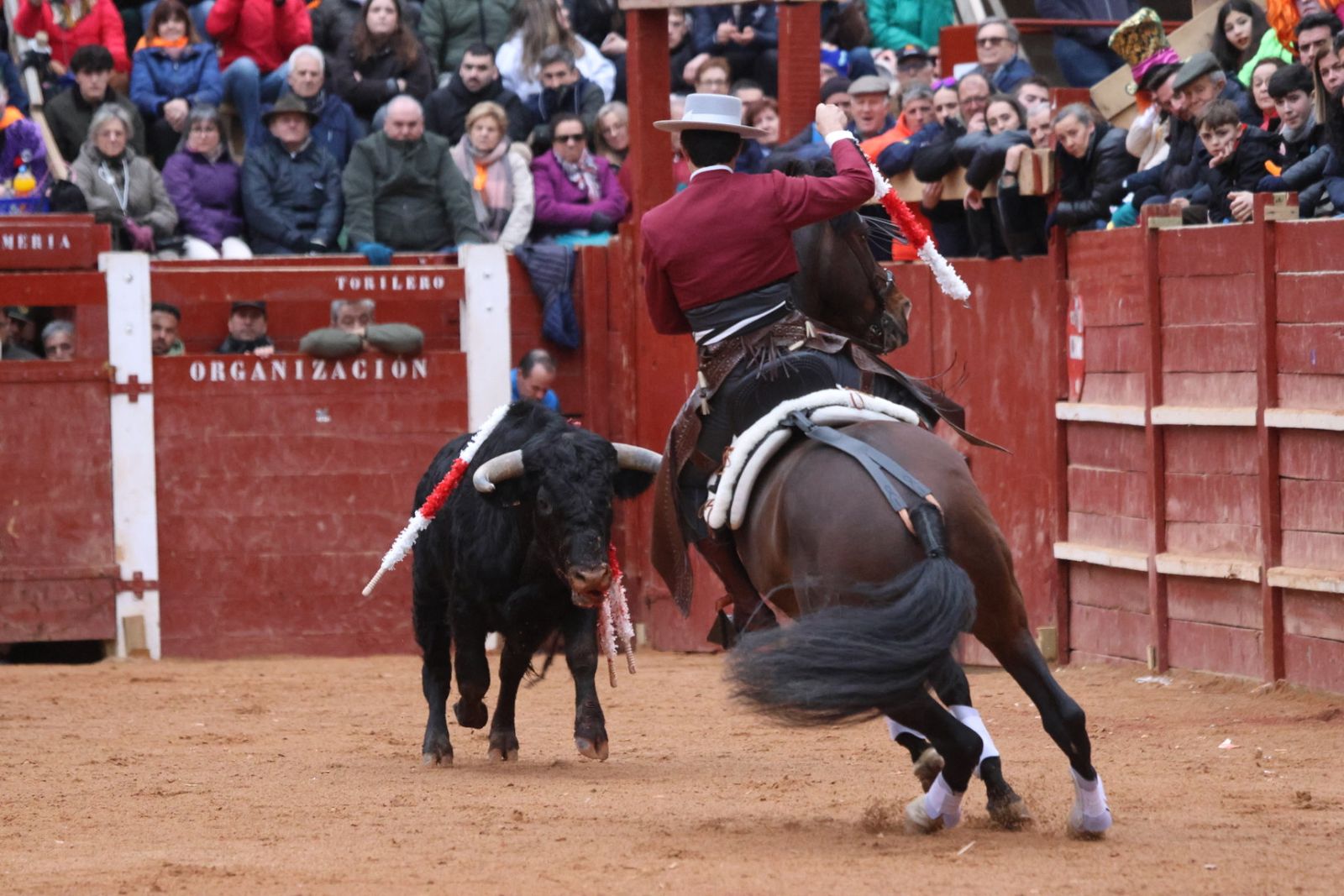 Novillada sin picadores del bolsín taurino y rejones en Ciudad Rodrigo