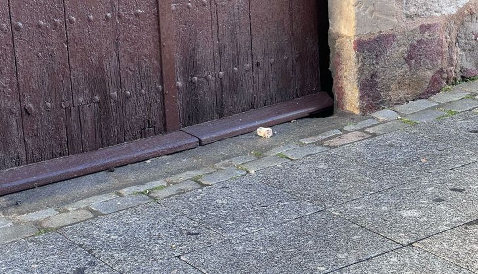 Piedras del Palacio de Alba en el suelo