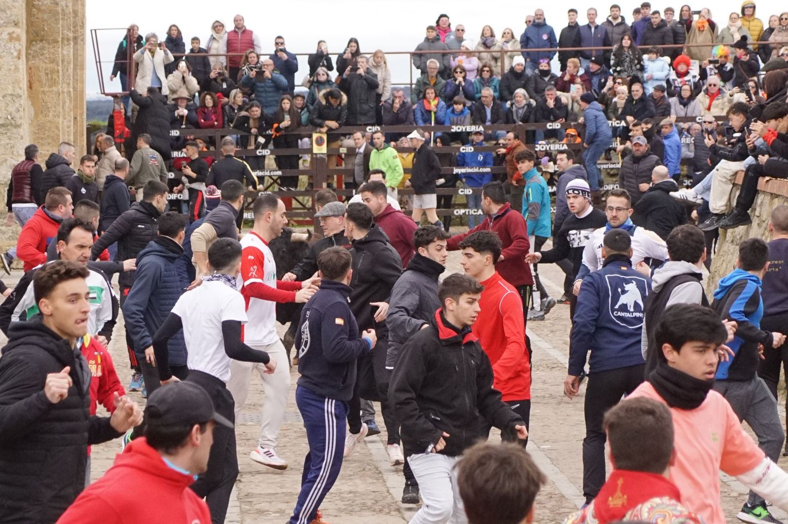 El encierro de Lunes de Carnaval en Ciudad Rodrigo en imágenes