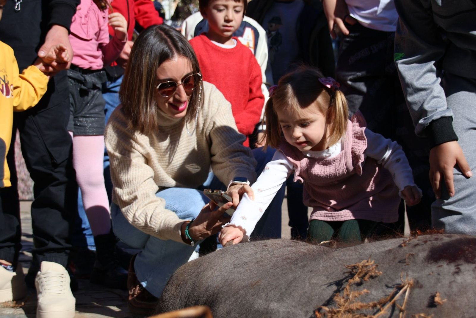 20240203131436-img-4455