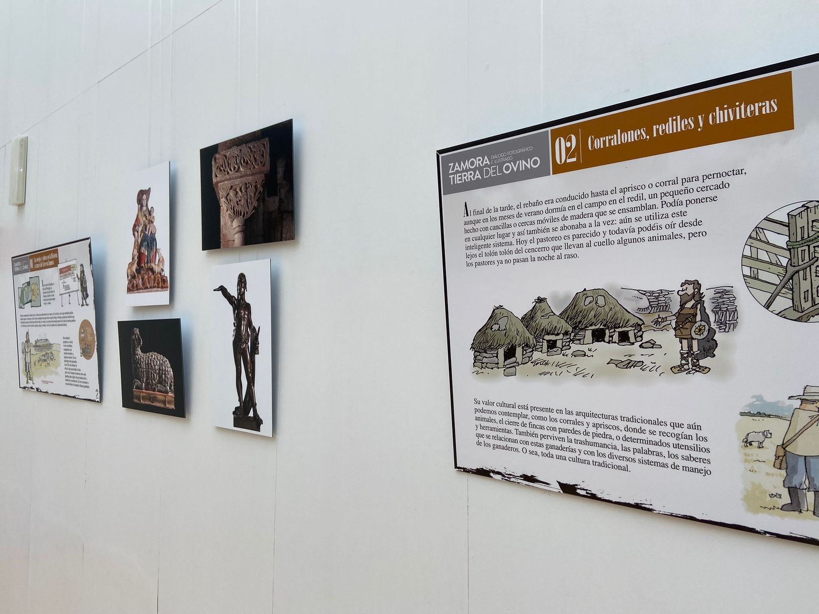 inauguracion-de-la-muestra-zamora-tierra-del-ovino-13