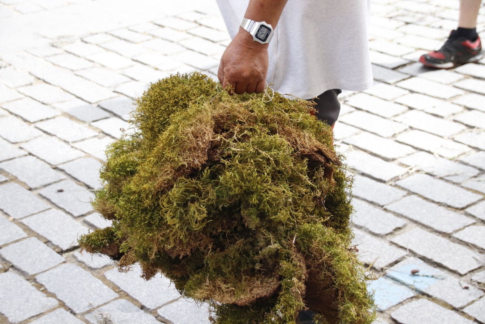 20220619102400-mg-5292