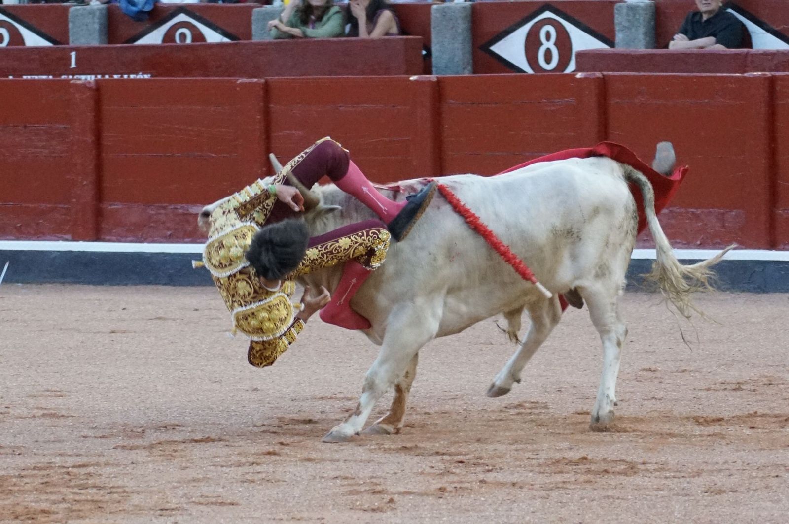 Clase práctica con alumnos de la Escuela de Tauromaquia de Salamanca (Diego Mateos, Noel García y Álvaro Rojo con erales de Esteban Isidro)