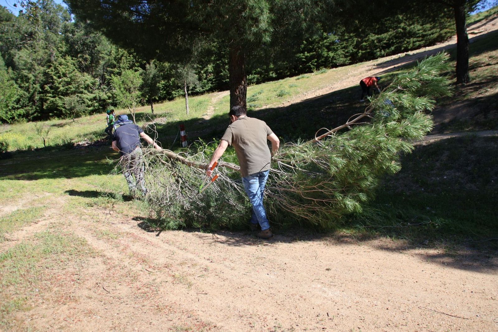 20240413104257-img-8072