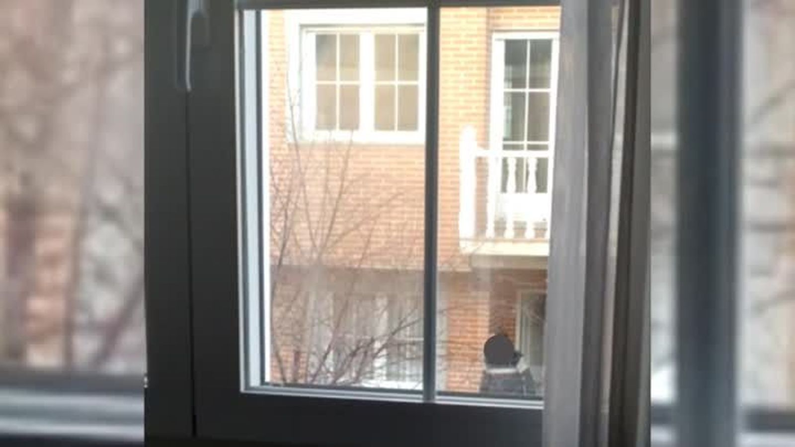 WhatsAppVideo20190226at18.01.08