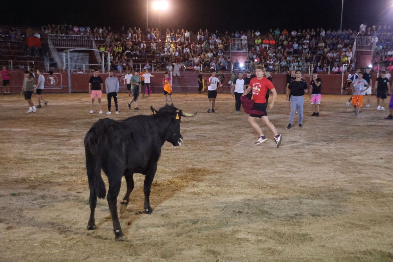 20240815212223-img-3714