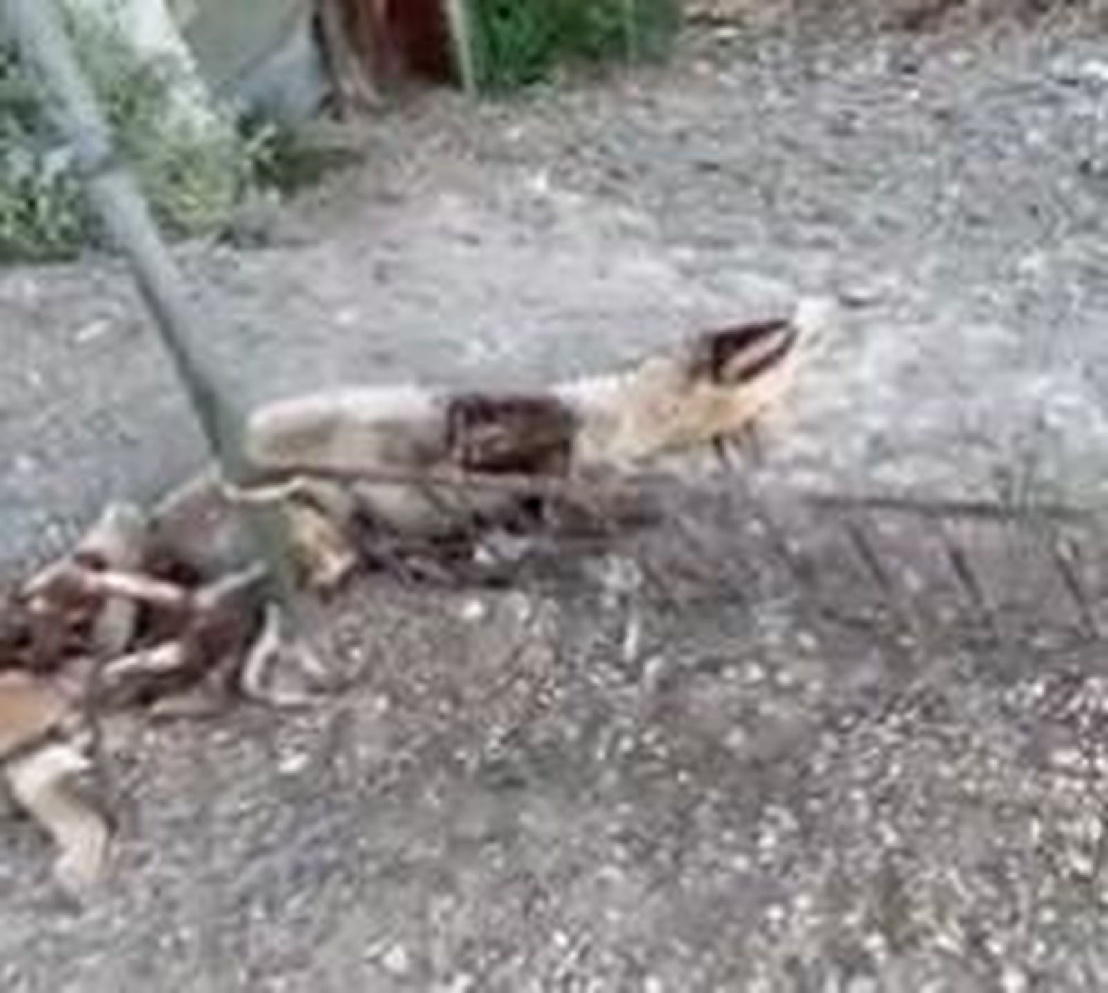 Captura de pantalla 2019 06 24 a las 11.37.34