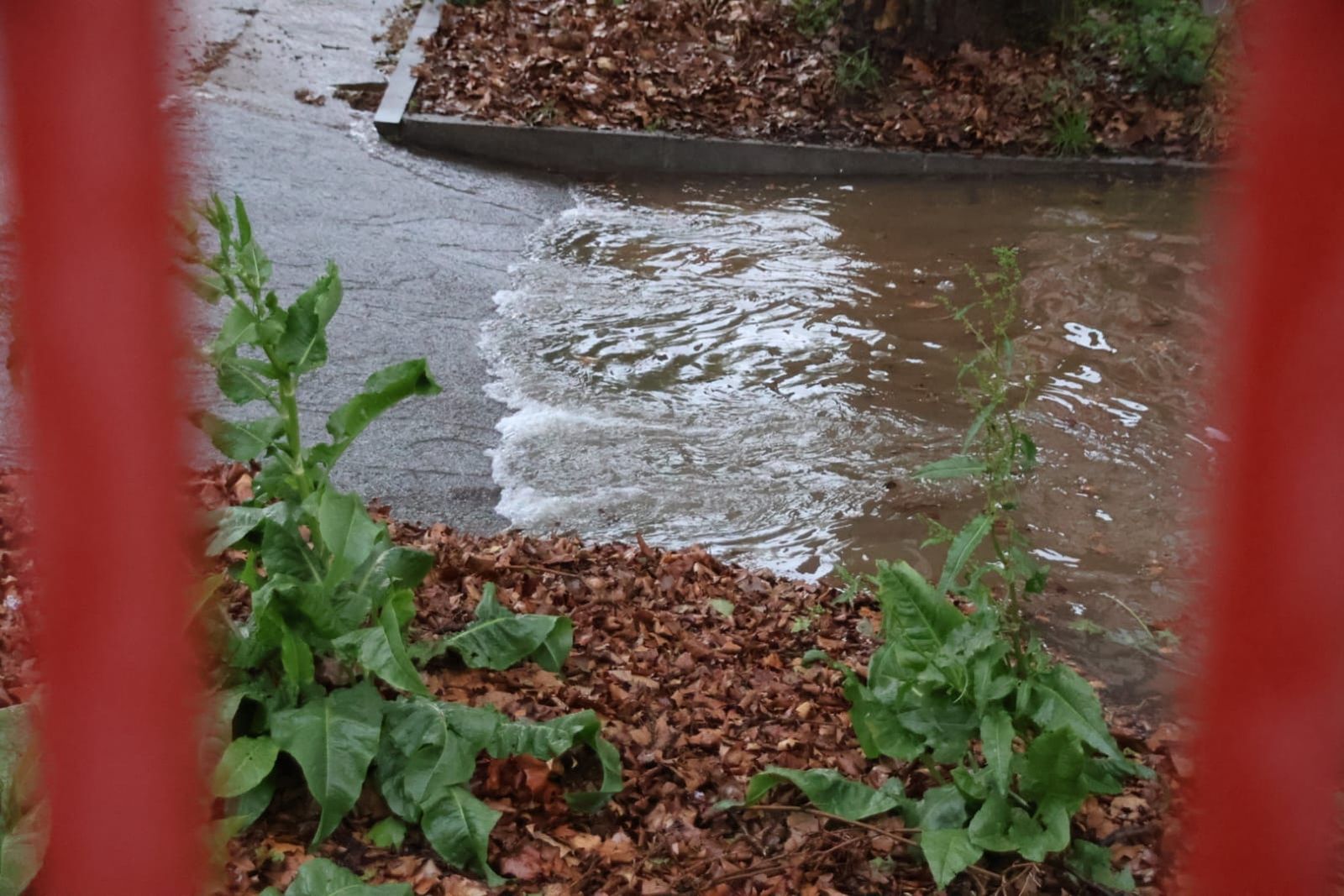 Inundación en el Colegio Público Lazarillo de Tormes