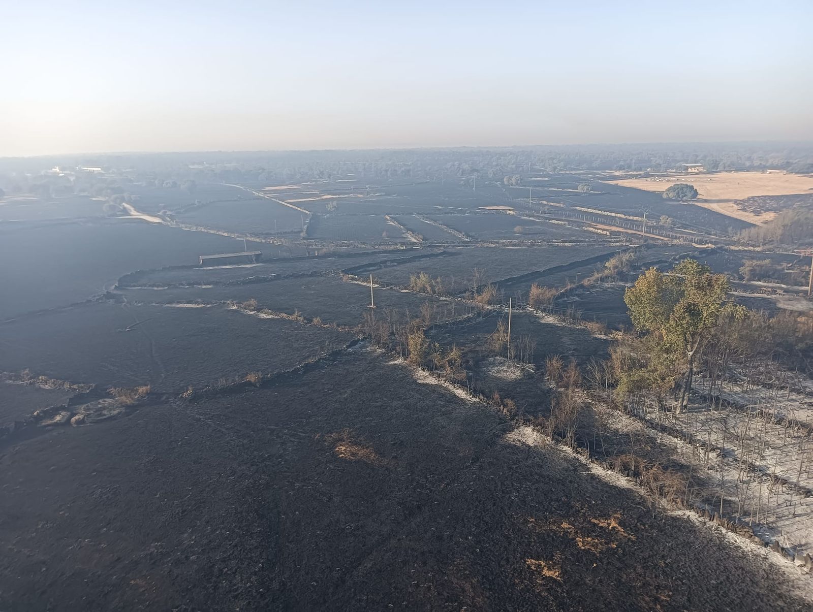 El Groo quemado tras el incendio de Cipérez (1).jpeg