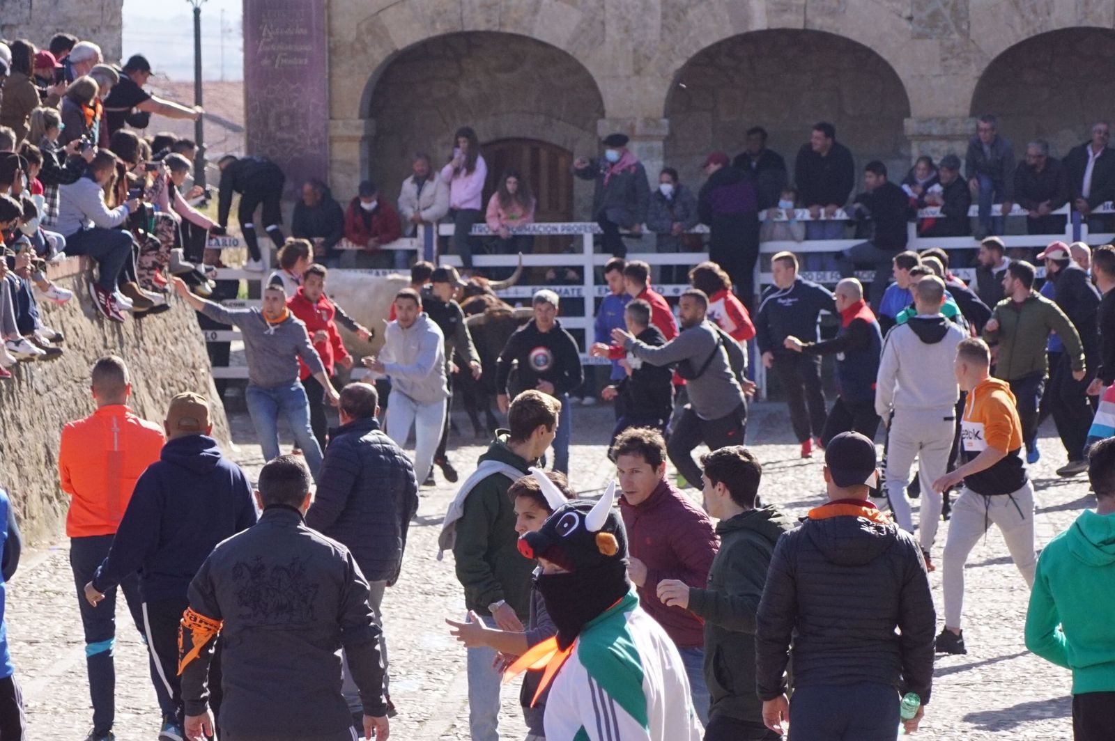 encierro-capea-y-ambiente-en-ciudad-rodrigo-en-este-lunes-de-carnaval-34