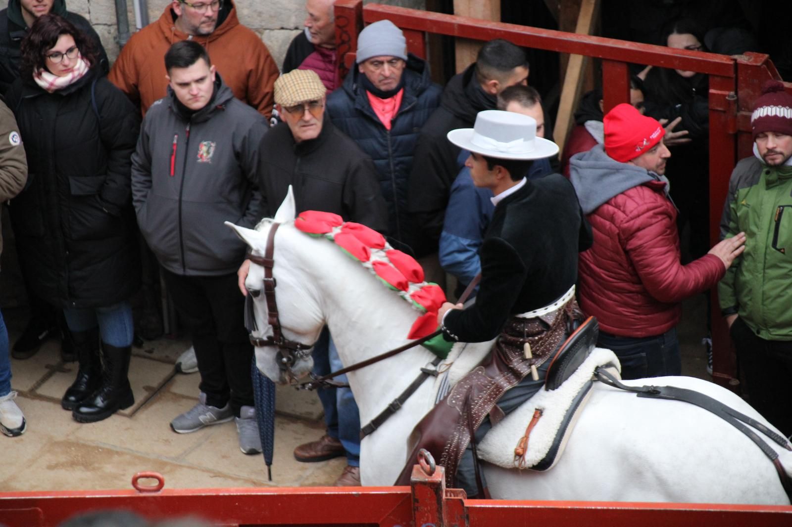 whatsapp-image-2025-03-02-at-18-55-42