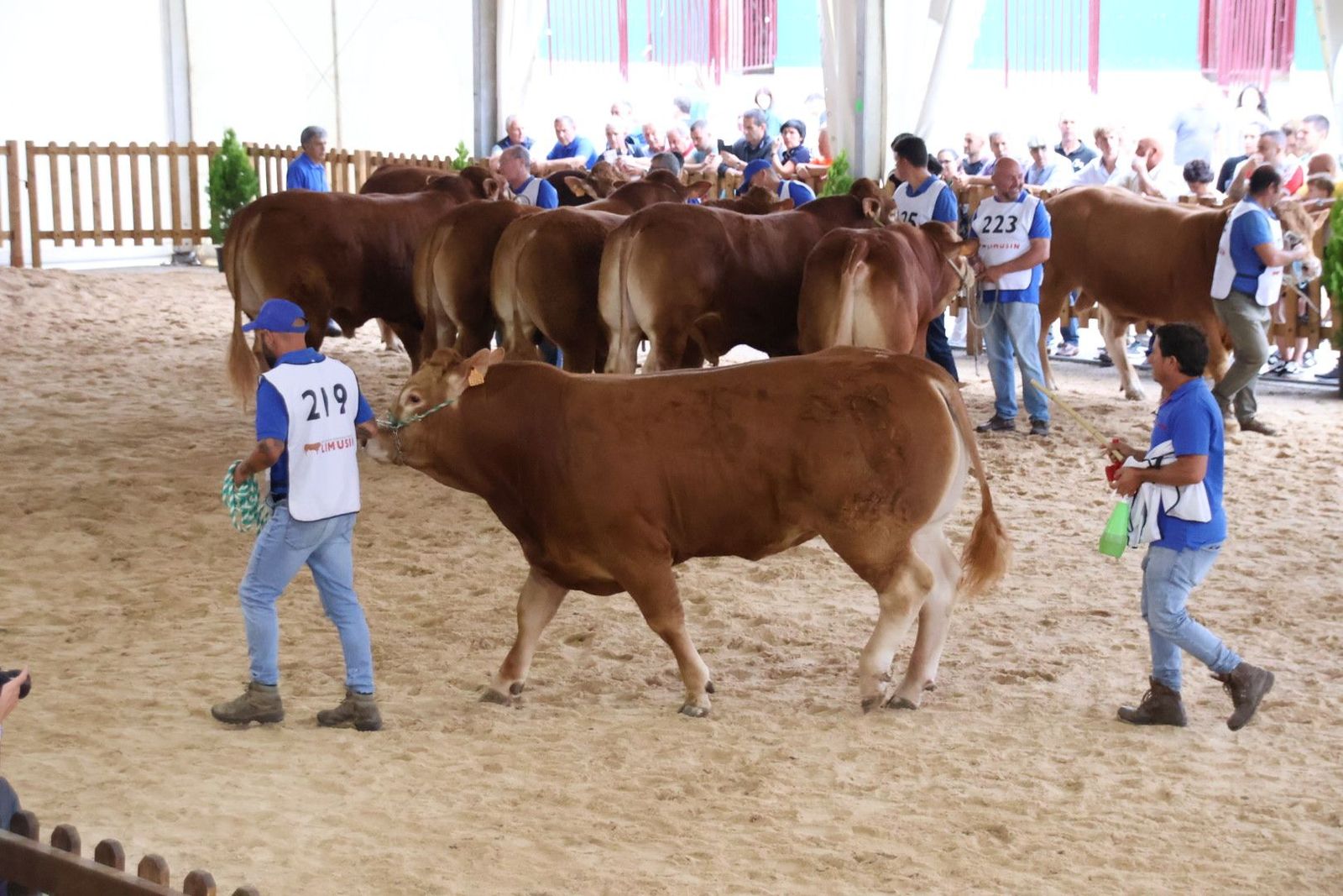 20230902105645-img-6991