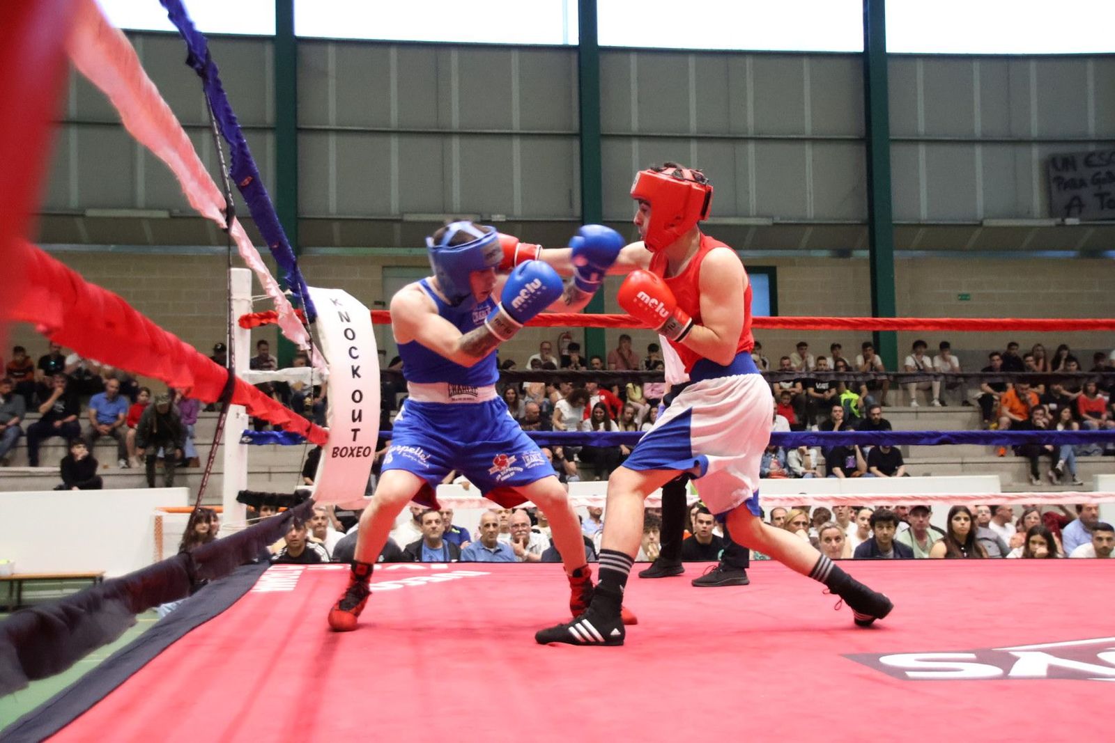 20240413200242-img-8680