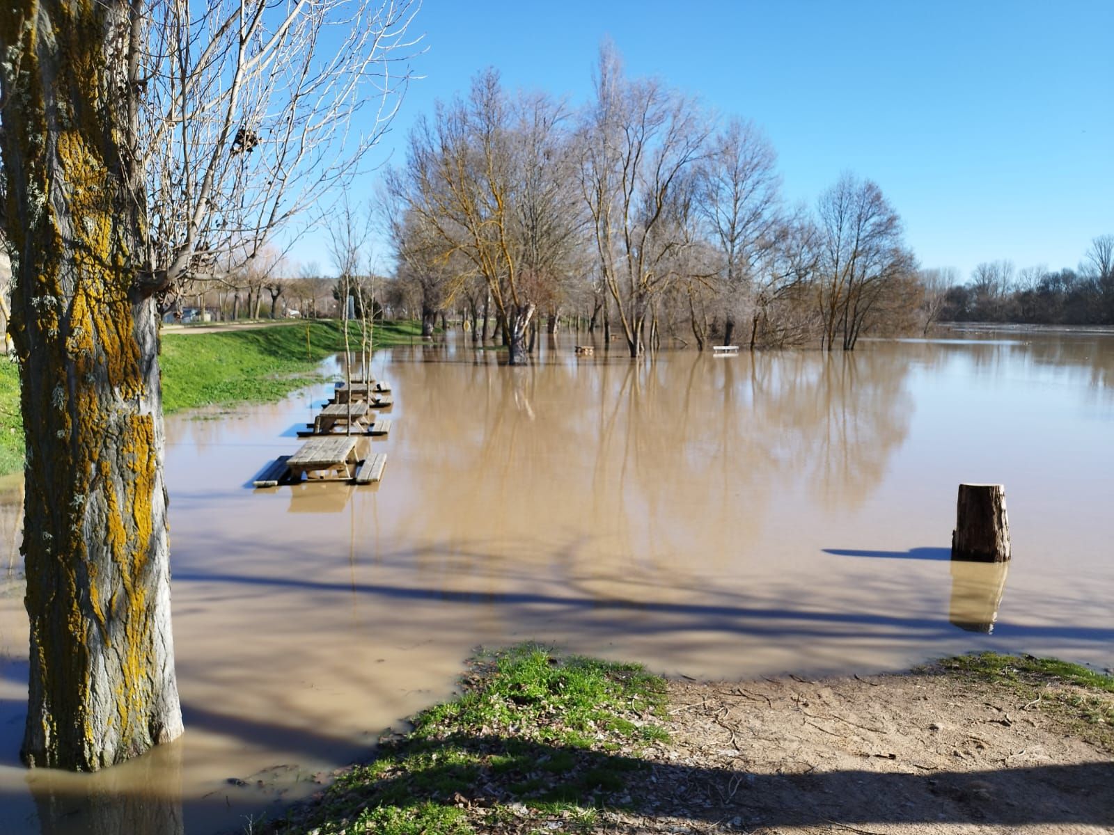 whatsapp-image-2024-01-20-at-13-18-46-2