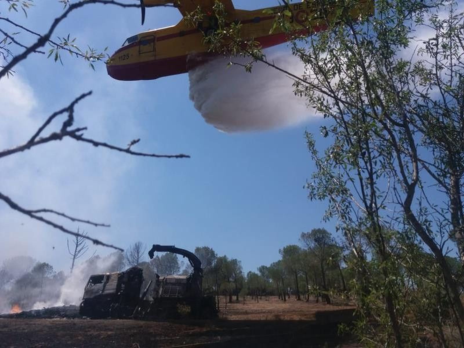 PHOTO 2019 07 11 14 03 34 (Copy)