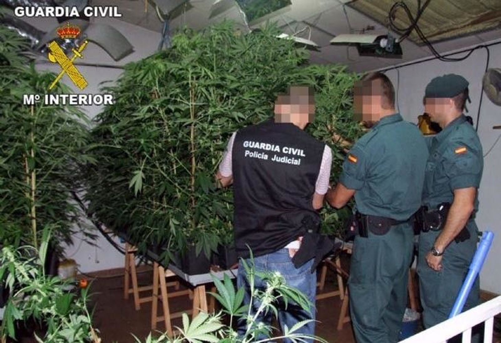 La criminalidad desciende trece puntos en Zamora capital durante el segundo trimestre del año