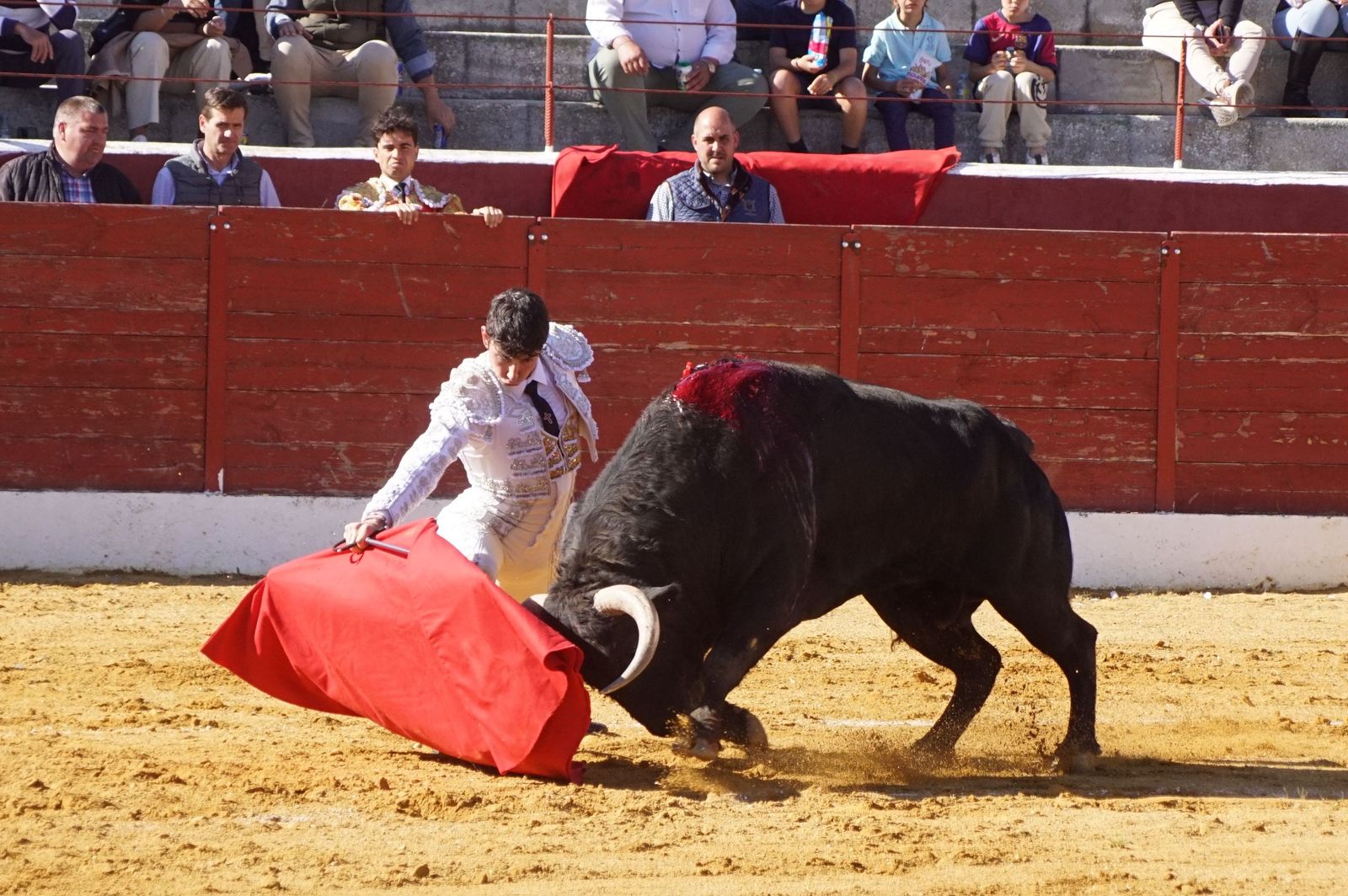 novillada-con-picadores-en-villoria-31